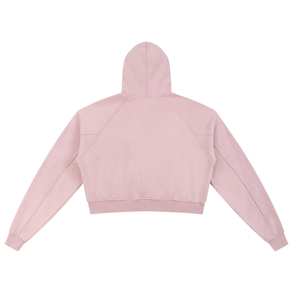 Snow Washed Cropped Hoodie